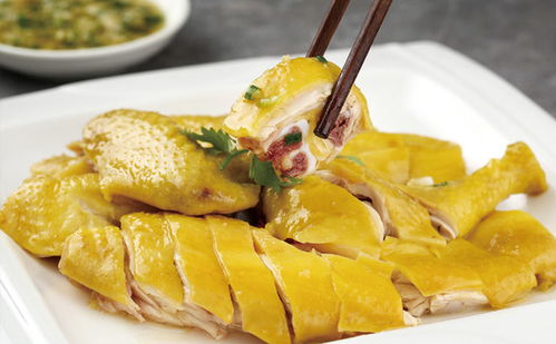 新手怎樣開快餐店,有哪些建議